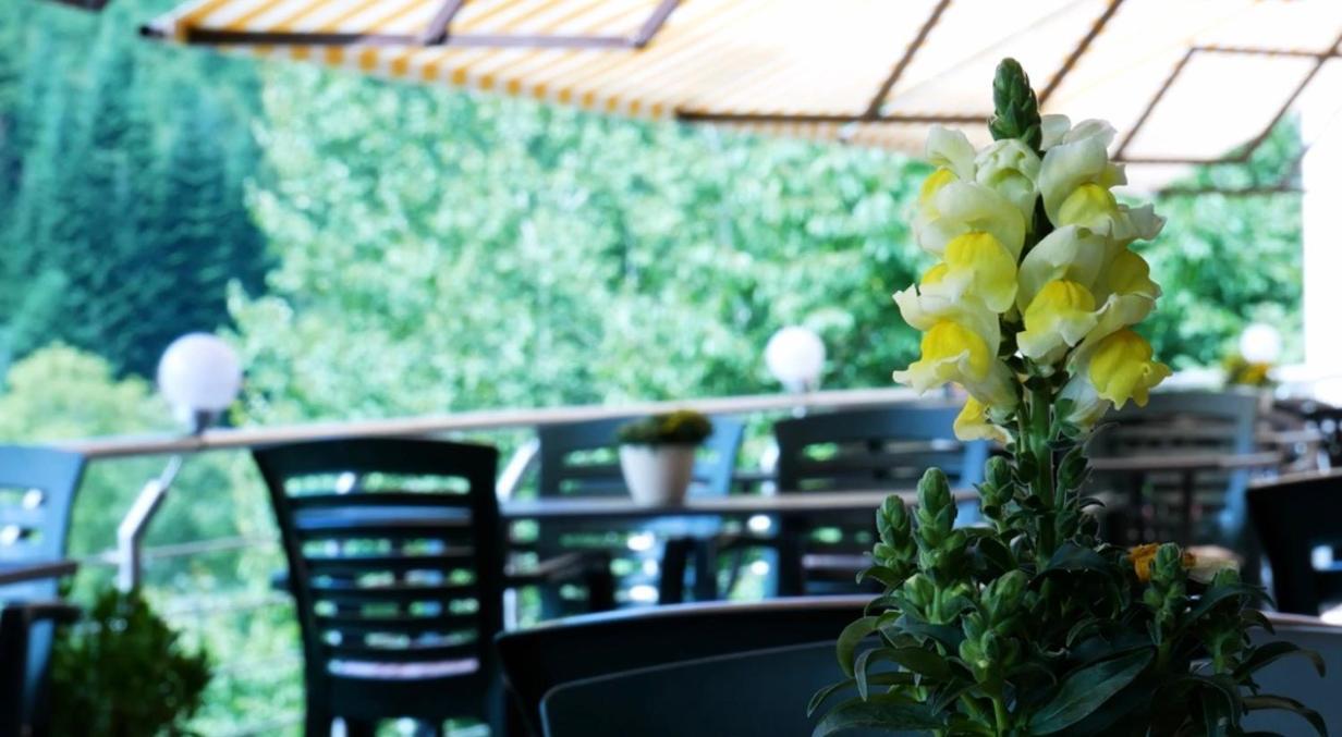 Hotel Cafe Waldeck Wuestenrot Экстерьер фото